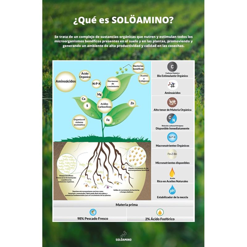 Ficha-tecnica-Soloamino