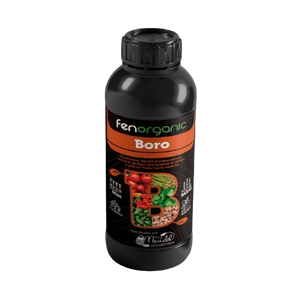 Fenorganic Boro Fraymendel
