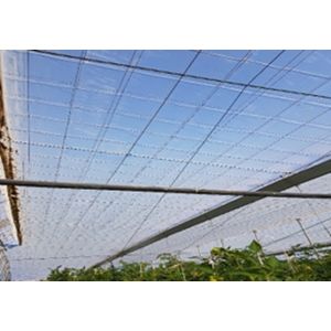 Plástico de Cubierta Thermogreen 5.000 PPM Greenplas