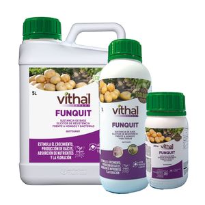 Sustancia básica Quitosano VITHAL  EXPERT FUNQUIT 1 L Sipcam Jardín