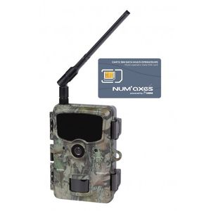 Trail Camera - PIE1061 - Numa'xes