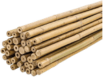 tutor-de-bambu