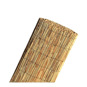 Cañizo Bambú Chino