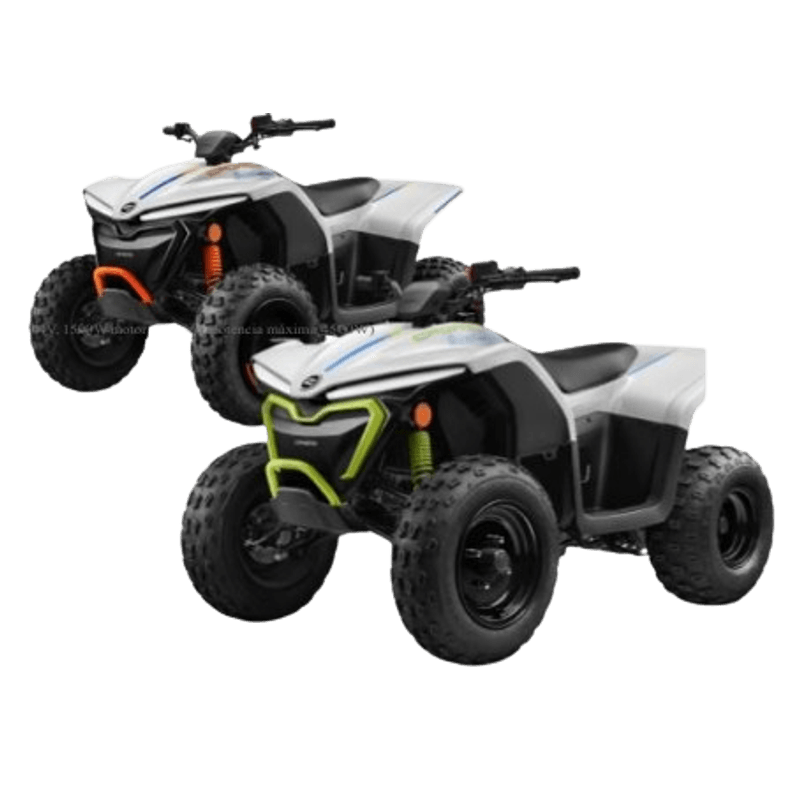 Quad-Youth-CForce-EV-110