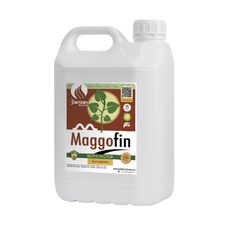 Maggofin