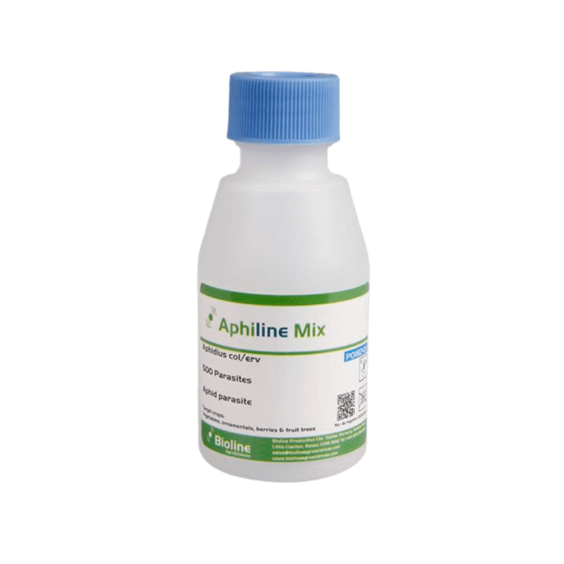 51-_Aphiline_mix_98509-15-removebg-preview.png