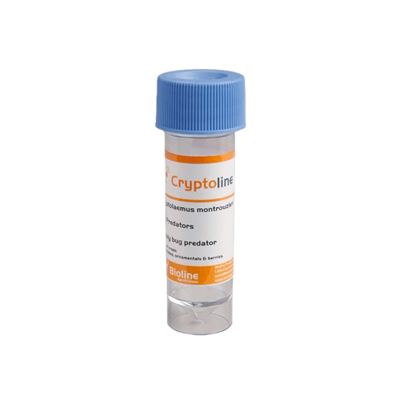 68-_Cryptoline_98509-11-removebg-preview.png