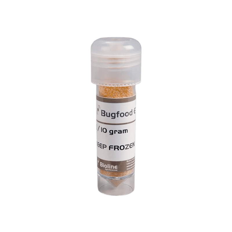 83-_Bugfood_e_98509-13-removebg-preview.png
