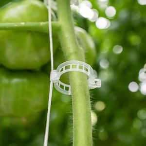 Clip de Entutorado Hunalán